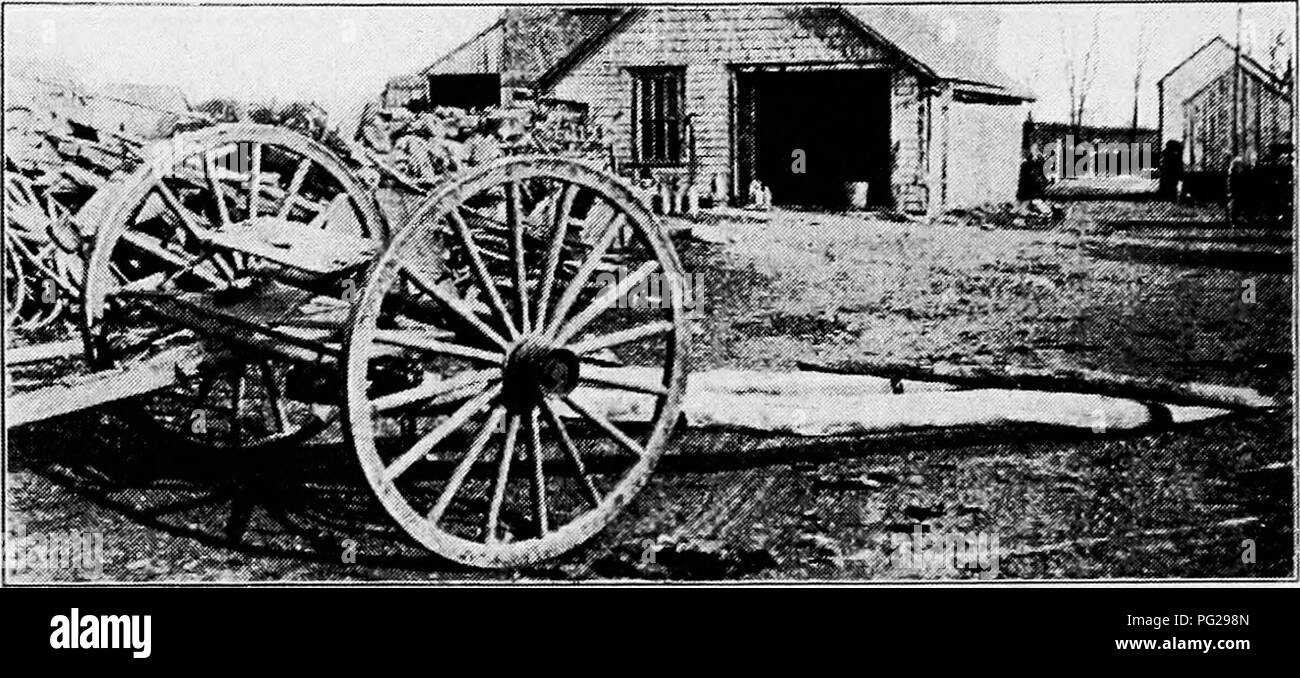 L'immagine tratta da "Principles and Practice of Poultry Culture" mostra i pattini attaccati alla parte anteriore di un carro, utilizzati per spostare i pollai delle colonie. Questo sistema è essenziale per gli allevamenti avicoli, in quanto consente una facile delocalizzazione delle case, facilitando una migliore gestione e cura del pollame. L'uso di slitte garantisce un disturbo minimo per il pollame e il loro ambiente di vita. Foto Stock