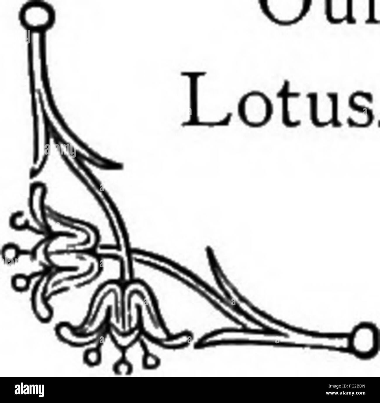 . Il linguaggio dei fiori: o, emblemi floreali di sentimenti, pensieri e sentimenti ... Lingua dei fiori. WHITE WATER LILY. è ancora fortemente abusato, è uno dei doni più preziosi della natura. Il suo frutto, quando sono maturi e freschi dalla struttura ad albero, è più delizioso e rinfrescante; quando essiccato si aggiunge al nostro godimento del cibo dato a noi ed è un più sano parte della nostra dieta; e sotto forma di vino espressa dall'uva, non solo è innocuo ma tonificante quando usati entro limiti corretti. Gli effetti non deve in alcun caso superare ciò che noi chiamiamo mirthfulness ; come Scott dice, " Lasciate puntinato Foto Stock