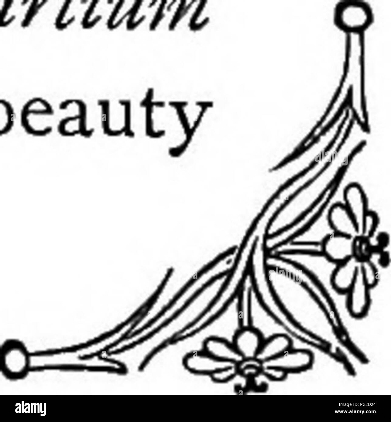 Questo libro esplora il significato simbolico dei fiori, illustrando la loro rappresentazione di pensieri, emozioni e sentimenti. Il linguaggio dei fiori è stato storicamente utilizzato per trasmettere messaggi nascosti, e l'opera offre una visione del significato culturale dei fiori nella comunicazione sociale. Foto Stock