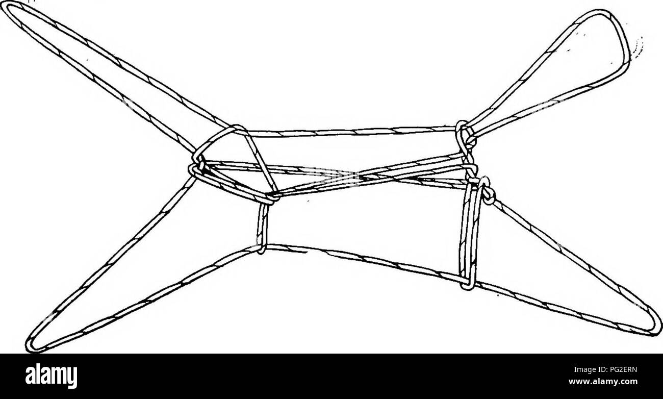 . Relazione della Artico Canadese Expedition 1913-18. Spedizioni scientifiche. Eschimese String figure 119 b due stringhe eseguito da sinistra della stringa palmar, quella di anello attorno la tomaia, l'altro round il trasversale inferiore stringa. Una stringa verticale in esecuzione da superiore a inferiore stringa trasversali li attraversa. Passare il pollice sinistro sotto la stringa in esecuzione per la trasversale inferiore stringa a sinistra della stringa verticale, e farla passare sopra la stringa in esecuzione per la trasversale superiore stringa a destra della stringa verticale. Ora si dispone di tre anelli che il pollice. Passare il pollice destro in l Foto Stock