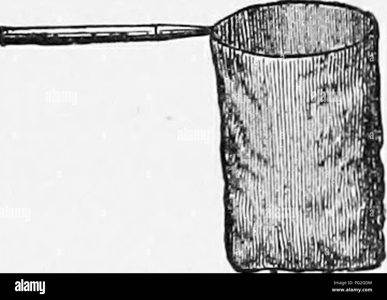 . Langstroth sull'alveare e il miele-Bee. Le api. Sciame primario. 223 essere tagliato con potatura sharp-cesoia, senza urti il sciame o danneggiare il valore dell'albero, essi possono essere gentilmente portato su di esso per il trasferimento foglio, davanti alla loro nuova casa. Se sembrano a tutti i riluttanti ad entrare, scoop delicatamente fino a pochi di essi con un cucchiaio grande o un ramoscello verdeggiante, o anche con le dita (TS), e li scuote vicino al suo ingresso. Come andare in con fanning ali, eleveranno una peculiare nota che comunica ai loro compagni la lieta notizia che hanno trovato una casa e in un breve periodo di tempo il che Foto Stock