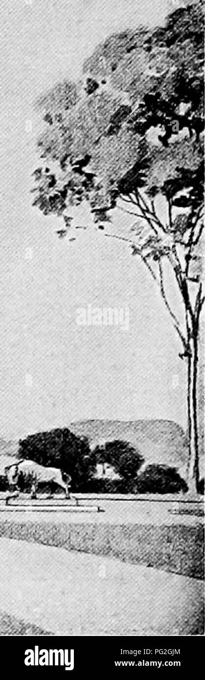 . Un parco statale piano per New York con una proposta per il nuovo parco prestito obbligazionario. Parchi. r^i -&GT;&amp;%.•.. Sull'asse della strategia principale, in piedi fuori in silhouette ferma contro lo sfondo della baia e le lontane colline del centro Island^ dovrebbe essere una grande bandiera-POLE CON UNA BASE MONUMENTALE VIII. Il EOOSEVELT Memorial Park e il PARKWAY Oyster Bay, sulla costa nord di Long Island, è diventato un luogo storico in sanciti nei cuori degli ameri patriottica- lattine. Qui, su Sagamore Hill, vissuto Theodore Roosevelt. Qui, all'ombra della collina che si affaccia sulle splendide acque di Oyster Bay e lunga Foto Stock