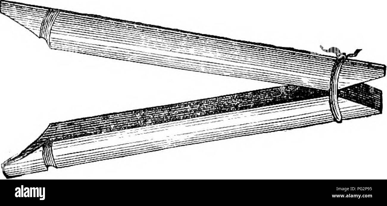 . La castrazione degli animali. La castrazione. CASTR ANIMALE.lTIOiJ. 41 firmato a ricevere lo spago, che è parte dell'ap- pliance. Prima di essere utilizzate esse sono strettamente legate fra loro in corrispondenza di una estremità, in modo tale che la Fia. 10.. Morsetto ordinario. Ritmo INTERNO DI MORSETTI. apertura a molla se chiuso. Questo punto è uno dei primi importanza. Esso richiede una notevole quantità di esercizio di resistenza al loro posto abbastanza saldamente sul cavo sono da tenere, biit tale impresa in giustapposizione, così ob- tained, facilita la loro rimozione, quando ciò è richiesto. La scanalatura che esse esercitano sulla loro superficie piana è talvolta riempito con Foto Stock
