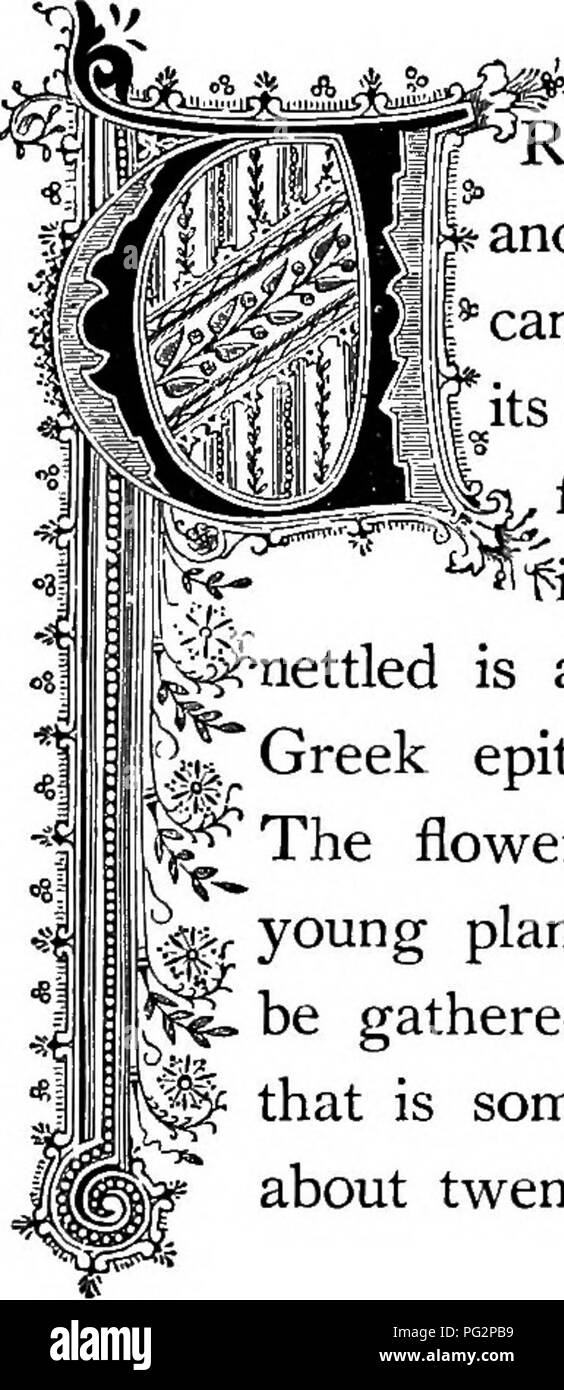 . La Floral Kingdom : la sua storia, il sentimento e la poesia : un dizionario di oltre trecento piante, con i generi e le famiglie a cui appartengono e la lingua di ciascun illustrato con opportune le gemme per la poesia . Lingua dei fiori; i fiori in letteratura. 53" "1 Mrtica btoita. Ordine naturale: Urticacece di ortica famiglia. RTICA, dal latino uro, mi bruciano, è molto espressiva *e opportuno nome botanico di questa familiare fastidio, come non si può entrare in contatto con esso senza essere colpito. Attraverso le sue innumerevoli peli tubolare passa una viscosa, infame s^j^™;^ flu Foto Stock