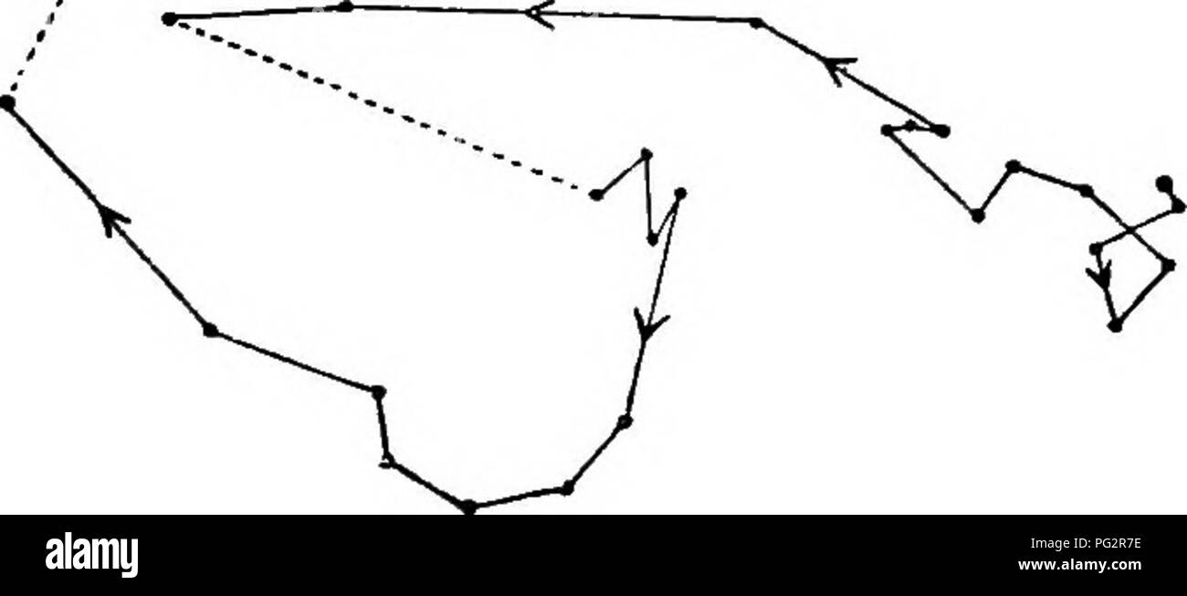 . Il potere di movimento nelle piante . Piante; Botanica. UHAP. 1. SOLANUM. 51 Solarium palinacanthum.-diversi hypoeotyls arcuato in aumento quasi -2 di un pollice al di sopra del terreno, ma con i cotiledoni ancora sepolto sotto la superficie, sono stati osservati e tracciamenti hanno dimostrato che essi circumnutated. Inoltre in molti casi poco aperto spazi circolari o incrinature nella sabbia argillosa che ha circondato il hypoeotyls arcuate erano visibili, e questi sembrava essere stata fatta dal hypoeotyls avente ripiegato prima su uno e poi per un altro lato mentre cresce- reparti. In due casi i verticali arche Foto Stock