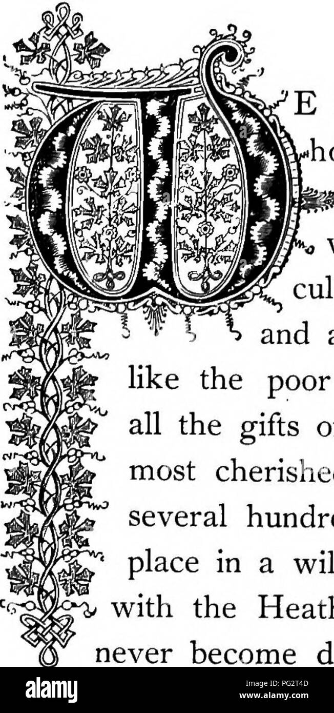 . La Floral Kingdom : la sua storia, il sentimento e la poesia : un dizionario di oltre trecento piante, con i generi e le famiglie a cui appartengono e la lingua di ciascun illustrato con opportune le gemme per la poesia . Lingua dei fiori; i fiori in letteratura. TT*-g^ -Fc (BVM aitovata. Ordine naturale: Ericacece-Heath Famiglia.. )TiHluh^* OWEET, vita solitaria! Incantevole, muti la gioia, che necessitano di'st non avvertenze come crescere più saggia da altri uomini disavventure, né di infastidire che dal mal di torti fatti a sé neppure luogo; la mattina la seconda Mansion, la verità del primo amico, mai a conoscenza con il Foto Stock