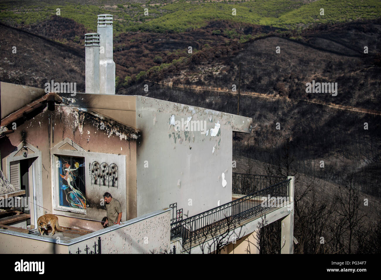 Mati, Grecia. 23 Ago, 2018. Un uomo si trova sulla terrazza della sua bruciato casa. Quasi la metà delle case del villaggio di Mati sono stati distrutti o gravemente danneggiati da un devastante incendio di foresta. Circa 100 persone sono morte. Credito: Angelos Tzortzinis/dpa/Alamy Live News Foto Stock