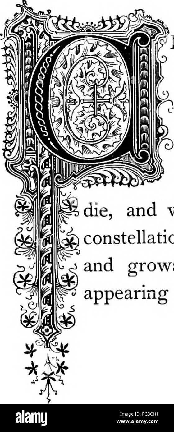 Questo lavoro esplora il simbolismo e il contesto storico delle piante, sottolineandone il significato poetico. Centaurea, appartenente alla famiglia delle Asteraceae, è evidenziata, con il suo nome derivato dal mito di Chiron, un centauro guarito dalla pianta. Si approfondisce anche altri fiori e la loro rappresentazione nella letteratura e nell'arte. Foto Stock