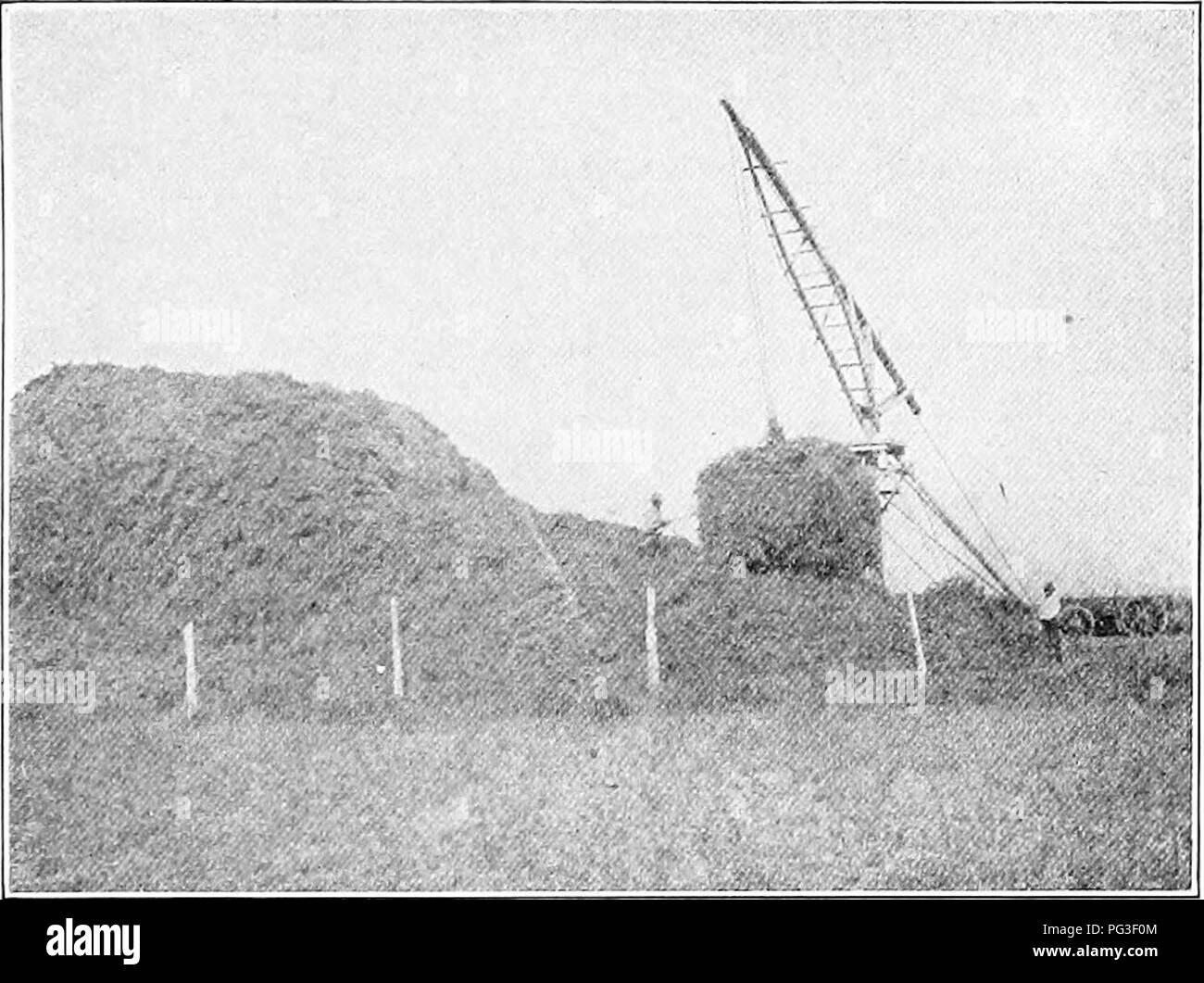 . Erbe azienda agricola degli Stati Uniti; una pratica trattato sul raccolto di erba, la semina e la gestione di prati e pascoli, descrizioni delle migliori varietà, le sementi e le sue impurezze, erbe per le condizioni speciali, etc. etc. Graminacee. Prati e pascoli 39 è ben compacfted. Un buono piano è quello di legare i pesi alle due estremità di una fune e appendere questo sopra la parte superiore. Due di tali funi incrociate perpendicolarmente terrà una pila di venti ordinaria e una tale fune circa ogni sei piedi su un rick risponde allo stesso scopo. Poco bisogno di essere detto per quanto riguarda la pressatura di fieno. Esso. FIG. 7-HAY-DERRICK Foto Stock