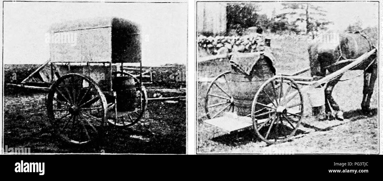 Questa guida alla cultura del pollame fornisce approfondimenti sull'allevamento e la cura del pollame, con particolare attenzione a razze specifiche come il Rhode Island e i polli Little Compton. Contiene inoltre informazioni su strumenti quali lattine d'acqua e carrelli per impasti utilizzati nell'allevamento avicolo. Foto Stock