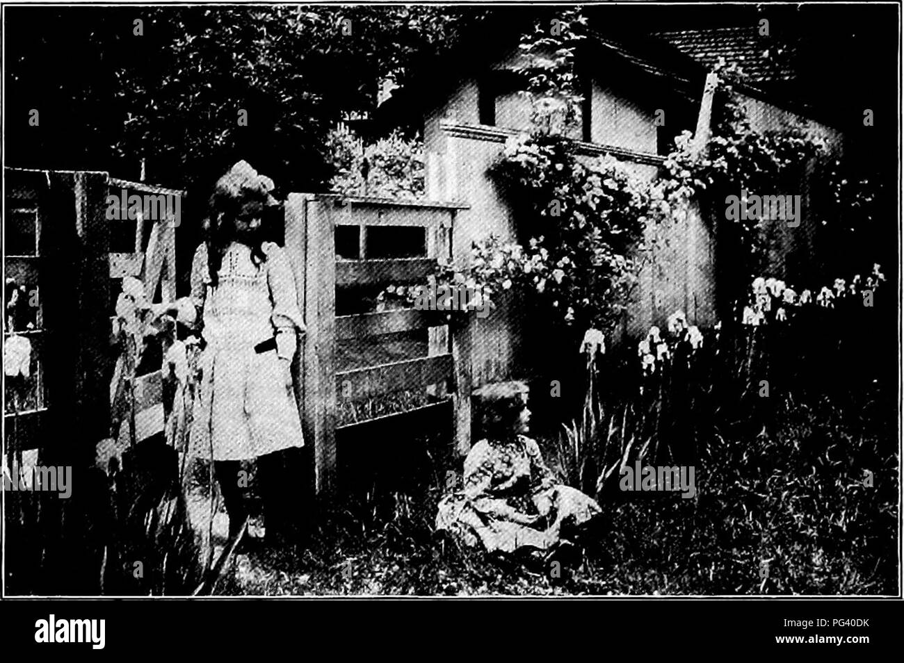 . I giardini e il loro significato, dalla Dora Williams. Giardini della scuola. 156 giardini e il loro significato piuttosto la preoccupazione della addestrato architetto del paesaggio che di ambizioso giovane fiedgUng, in modo che uno sarebbe rash infatti in queste poche pagine per suggerire cambiamenti. Ci permettono tuttavia di dare uno sguardo al cortile. Questo può raramente essere chiamato civilizzato troppo o troppo convenzionale. Al contrario, essa rimane nella barbarie. I suoi dèi sono apparentemente il cestello di lavaggio e la sbattimenti stendibiancheria. I servizi del. Un po' di Back Yard un missionario sono certamente necessarie. Così poco sono le possi- bilities di una iarda posteriore Foto Stock