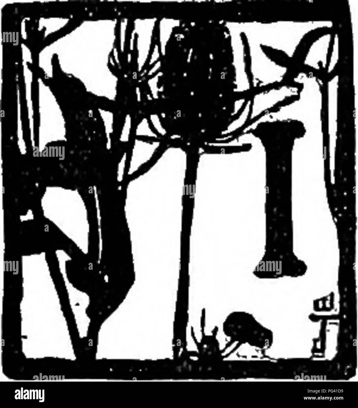 . Accanto al terreno; cronache di una campagna. Storia naturale. Significa tanto per crescere accanto alla massa. Non ci sono compagni di gioco come erba e alberi di frutteto^ colts al pascolo, polli in cantiere, né alcuna storia-scrutatori per abbinare i venti quando giocano con le foglie o la danza una spada-dance attraverso i campi di ingiallimento -frumento. I campi sono troppo rari pettegolezzi, se solo si prende la briga di sotto- stand. Il peccato è che non si può mai scrivere il fascino della loro voce viva! Essi hanno qualcosa di quasi epica nel loro gossip- ing, eppure sempre qualcosa di nuovo da dire. Cosa f Foto Stock