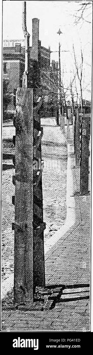 . Lo studio della natura e della vita. Lo studio della natura. 374 LO STUDIO DELLA NATURA E LIFP: ;R, nella mia scel- invece di inclosing gli alberi in protezioni, è sempre sembrato più raccordo ci tlie-ime se coloro che feriscono loro sono stati messi in guardia per un po'. Ancora, gli incidenti sono probabilmente accadrà, e meno costosi e meno cospicuo le protezioni possono essere realizzati con un forte filo netting fas- tened ai'ana il tronco, come mostrato in Fig. 14S. Tuttavia, le unità organizzative viaggi ho trovato almeno una città dove ])ublic sentimento ade- quatelv protegge gli alberi di ombra delle sue splendide strade. Si tratta di una città di Richmond, Indiana, e può anche presentarsi come th Foto Stock