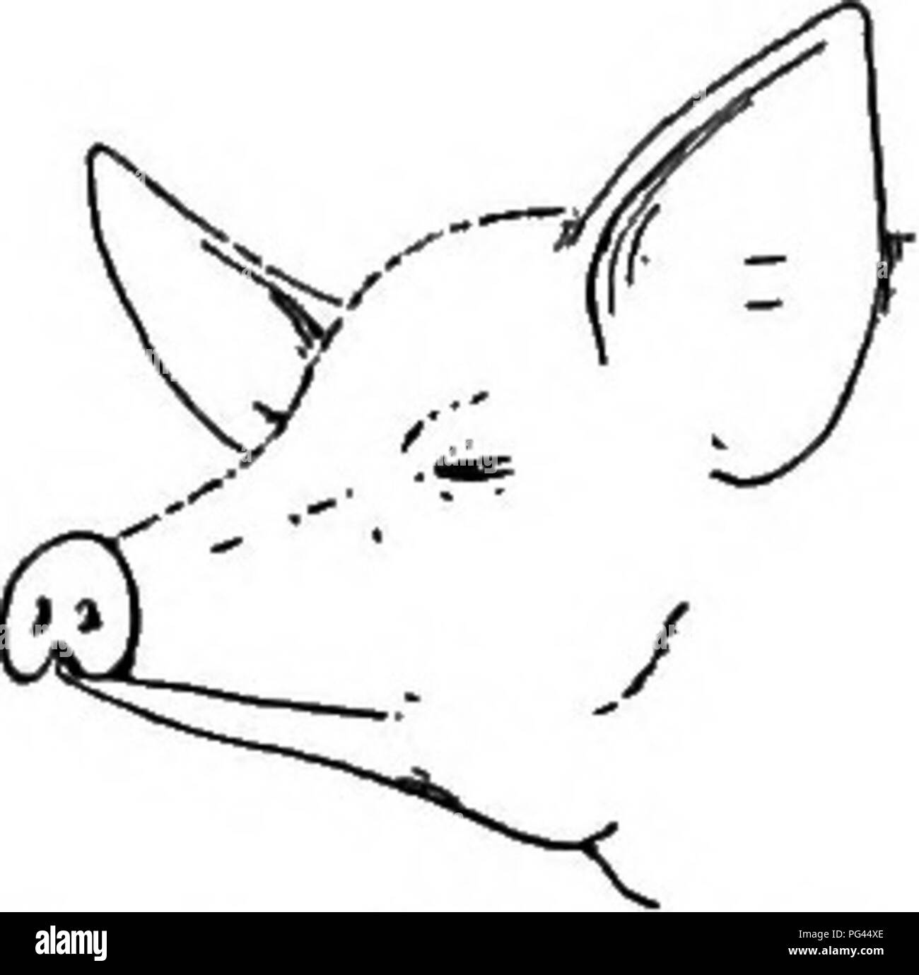 . La storia naturale della fattoria; una guida alla pratica lo studio delle fonti del nostro vivere nella natura selvaggia. Storia naturale. VII. I selvatici commestibili RADICI DELL'AZIENDA AGRICOLA "il sole inonda il campi fertili dove brilla di semina. Ed ecco un miracolo è lavorati; per le piante con foglie di vento-soffiato, â dalla magia della sunbeam del touch prendere dalla pioggia e la rugiada e la terra e aria, le cose di Ufe a mescolarsi loro nuovamente e conservarli al sicuro nella custodia di terra per soddisfare la fame dell'uomo-necessità. Quindi ecco la meraviglia cresce completo; il germe entro il seme diventa un sermone o una canzone, un bacio o gentilmente dee Foto Stock