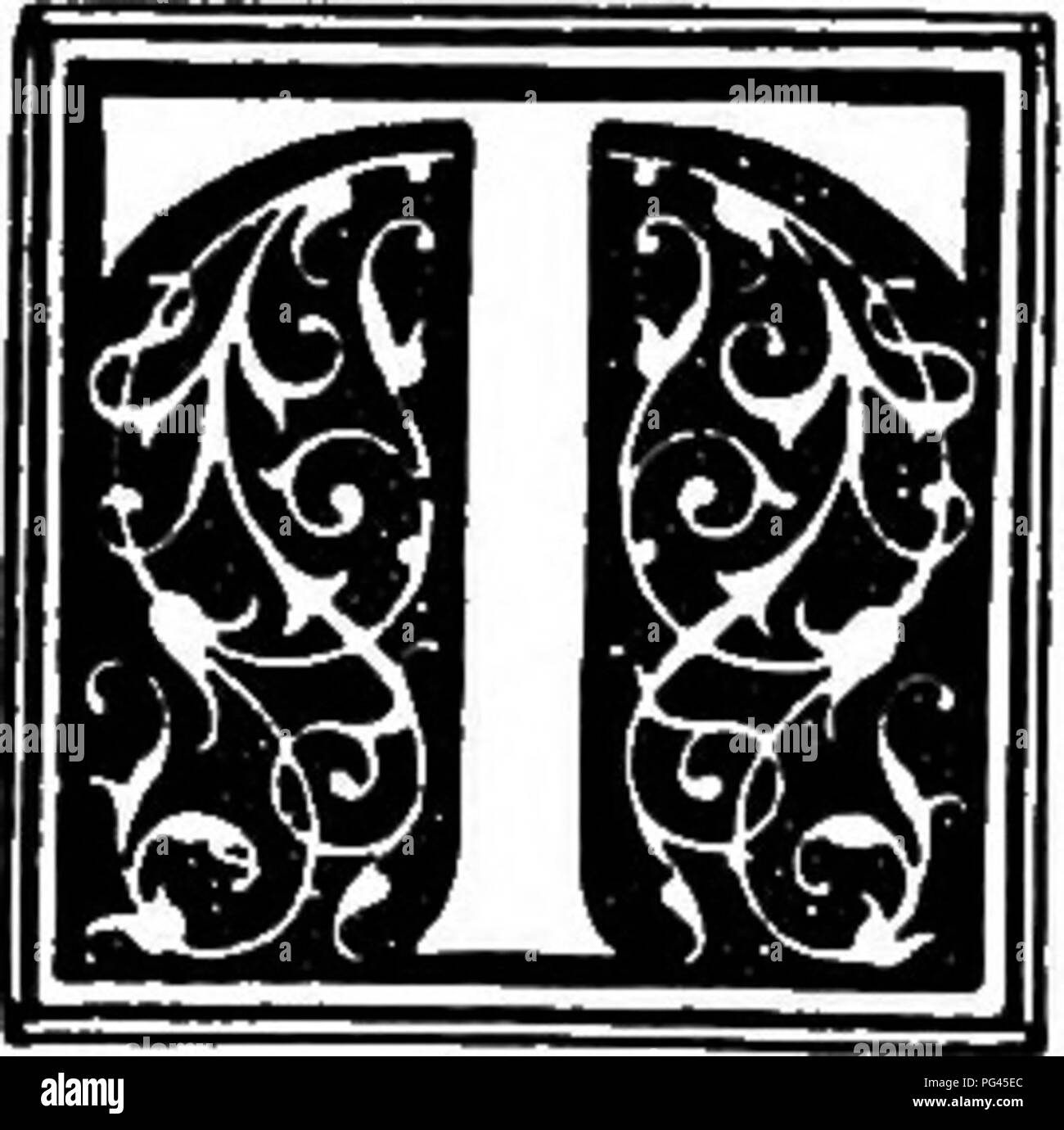 . Il cane prenota : una storia popolare del cane, con informazioni pratiche di cura e gestione della casa, kennel, e mostra i cani e le descrizioni di tutte le razze importanti . I cani. Capitolo LXV Il King Charles Spaniel ha la convinzione che il nero e marrone pet spaniel era il favorito di re Carlo II è diventato così tanto di una convinzione tra coloro che sono disposti ad accettare la convinzione generale che esso sarà considerato da molti come un po' corto di sacrilegio ex- premere incredulità nella dichiarazione che ha o ha avuto qualsiasi piccolo nero e marrone épagneuls o che essi erano conosciuti nel suo giorno. Per ulteriori t Foto Stock