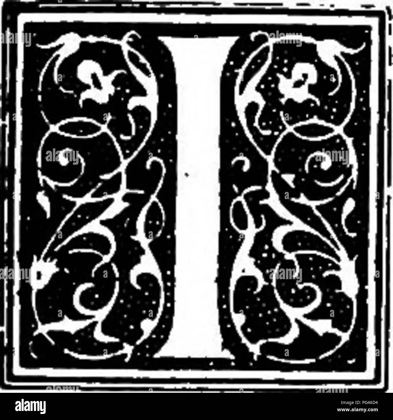 . Il cane prenota : una storia popolare del cane, con informazioni pratiche di cura e gestione della casa, kennel, e mostra i cani e le descrizioni di tutte le razze importanti . I cani. Capitolo XXXIII il Terrier Irlandesi. [T è scarso uso cercando di grope indietro per qualsiasi storia dell'Irish terrier. Nel 1879, quando la razza fu preso in mano e spinto verso la parte anteriore, il sig. Ridgway ha scritto che non vi sono stati riferimenti ad esso in vecchi manoscritti irlandesi, ma il solo modo per rendere tale prova tell è di produrre o di citazione da questi presunti vecchi manoscritti, e che non è mai stato fatto. Billy Graham Foto Stock