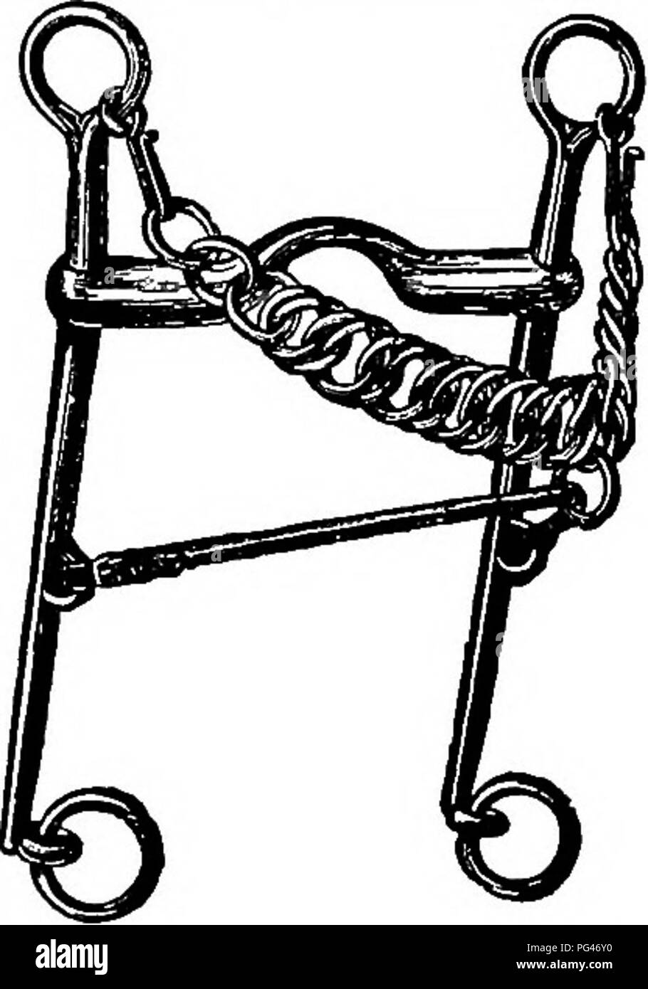 Questo manuale offre una guida pratica sulla stabulazione, la cura e l'alimentazione dei cavalli, con particolare attenzione alle punte utilizzate nell'allenamento dei cavalli, tra cui la punta a marciapiede Baucher, uno strumento progettato per aiutare a controllare il cavallo senza causare lesioni. Foto Stock