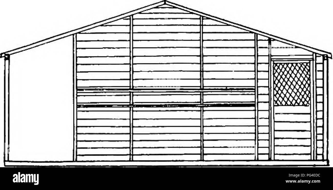 . Principi e pratica della cultura di pollame . Il pollame. Telaio di estremità della casa lunga nelle figg. 146 e 147 square, le strutture ai lati di un doppio tetto di passo può affrontare sia il nord e sud o est ed ovest. In case con due o più compartimenti a doppio passo tetto deve, di regola, rivolta verso nord e sud; in singolo- vano alloggia la tenda-tipo di tetto di opere edili possono essere utilizzati (o avvicinato), con fianchi molto bassa e la pendenza del tetto rivolto a est e a ovest. Un capannone o un singolo- tetti a falde su singole- vano alloggia passo può in qualsiasi direzione desiderata; sul case con due o più com- partmen Foto Stock