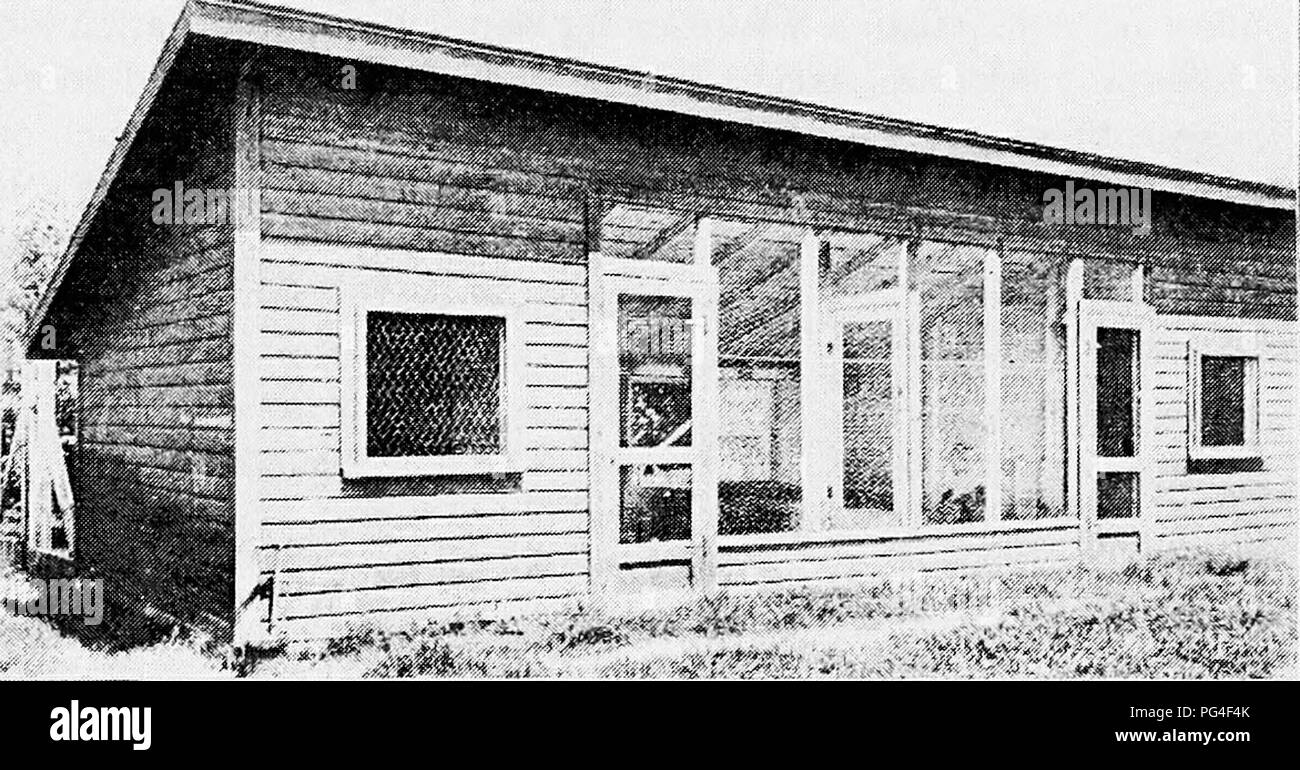 . Principi e pratica della cultura di pollame . Il pollame. Vu. i ;i. A sezione unica stratcKing- Fig. 132. Casa colonia wiih scratch- capannone liouse. utilizzato senza cantiere capannone ing attaccato. Fig. rjj. Due sezioni di scratc!iii)g-,^hcd casa di Orth (.;arolina stazione di esperimento. (Thotograph dalla stazione). Si prega di notare che queste immagini vengono estratte dalla pagina sottoposta a scansione di immagini che possono essere state migliorate digitalmente per la leggibilità - Colorazione e aspetto di queste illustrazioni potrebbero non perfettamente assomigliano al lavoro originale. Robinson, John H. (John Henry), 1863-1935. Boston ; New York : Ginn e Compa Foto Stock