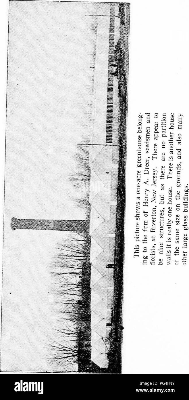 . Dreer la verdura sotto vetro : un po' handbook raccontando come fino al suolo durante i dodici mesi dell'anno. Verdure; Cold-frame. . Si prega di notare che queste immagini vengono estratte dalla pagina sottoposta a scansione di immagini che possono essere state migliorate digitalmente per la leggibilità - Colorazione e aspetto di queste illustrazioni potrebbero non perfettamente assomigliano al lavoro originale. Dreer, Henry A. Philadelphia : Henry A. Dreer, incorporato Foto Stock