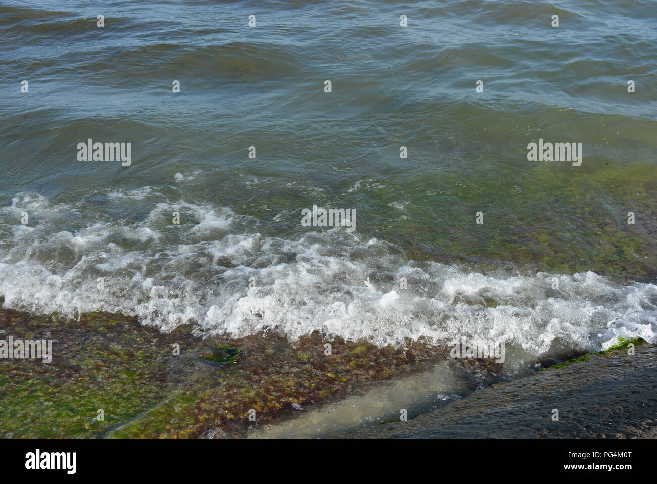 Colore insolito del mare nero con una grande pietra e lastre di cemento armato con alghe verdi nell'acqua Foto Stock