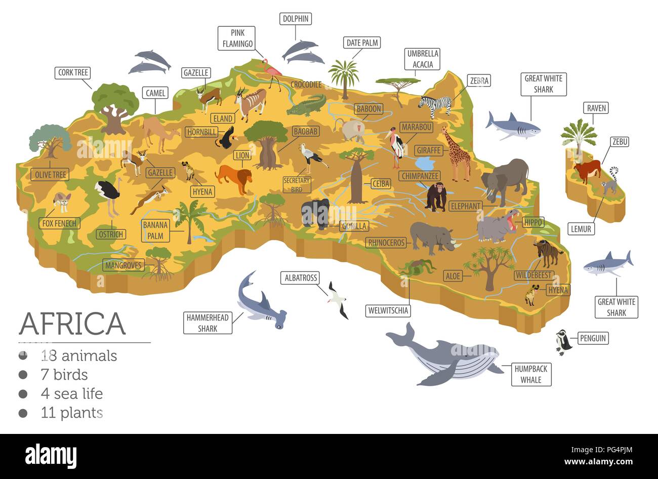 Appartamento 3D isometrica Africa flora e fauna mappa elementi costruttore. Animali, uccelli e Sea life isolato su bianco grande set. Costruire la propria geografia inf Illustrazione Vettoriale