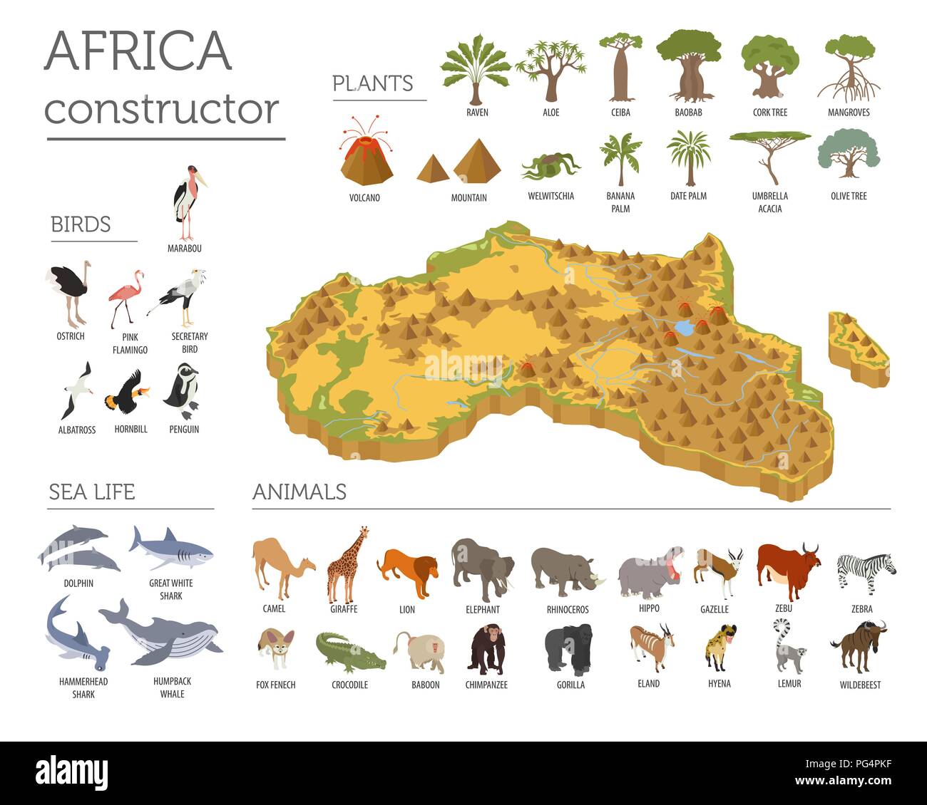 Appartamento 3D isometrica Africa flora e fauna mappa elementi costruttore. Animali, uccelli e Sea life isolato su bianco grande set. Costruire la propria geografia inf Illustrazione Vettoriale
