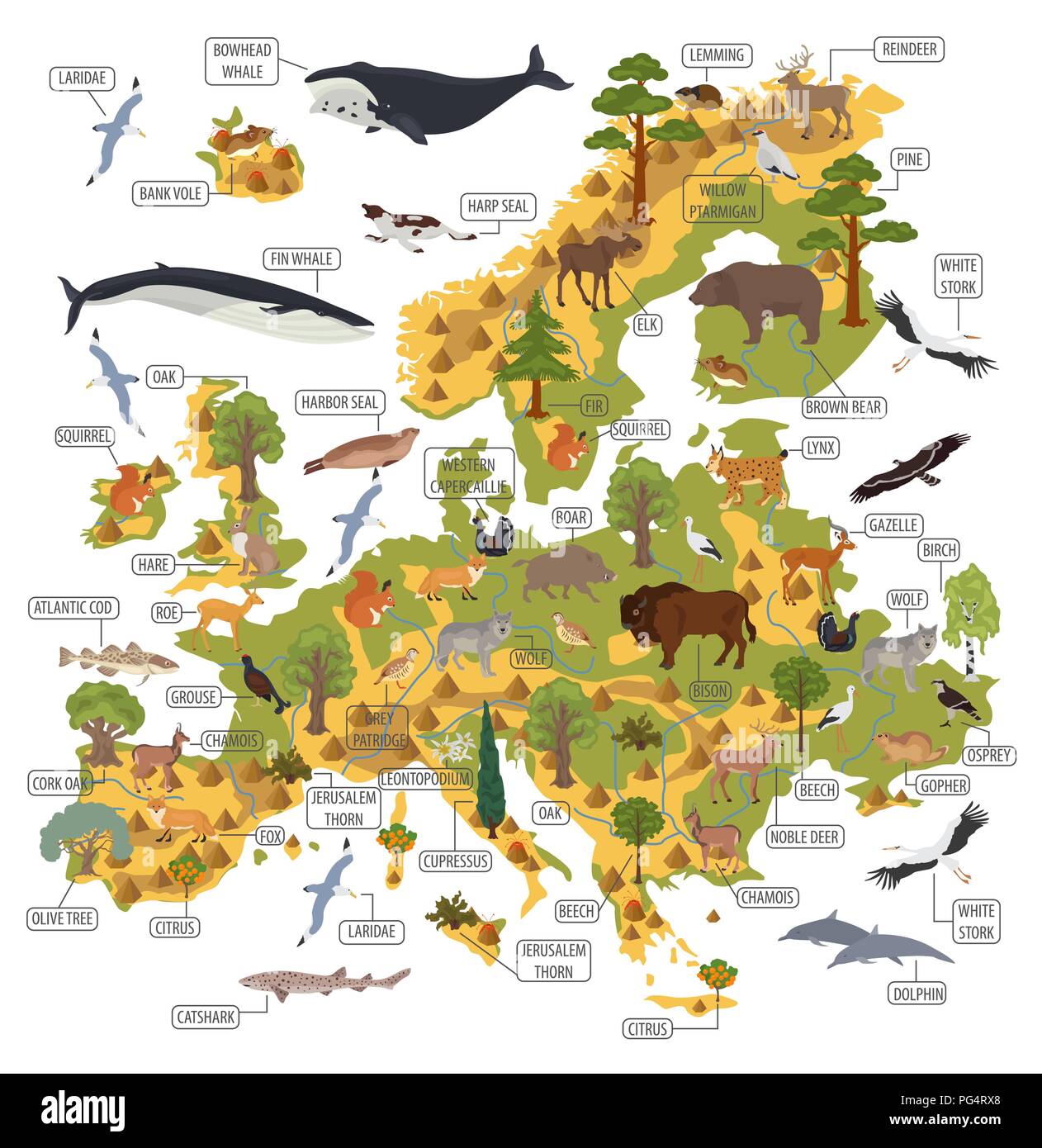 Europeo piatto flora e fauna mappa elementi costruttore. Animali, uccelli e Sea life isolato su bianco grande set. Costruire la propria geografia infographics c Illustrazione Vettoriale