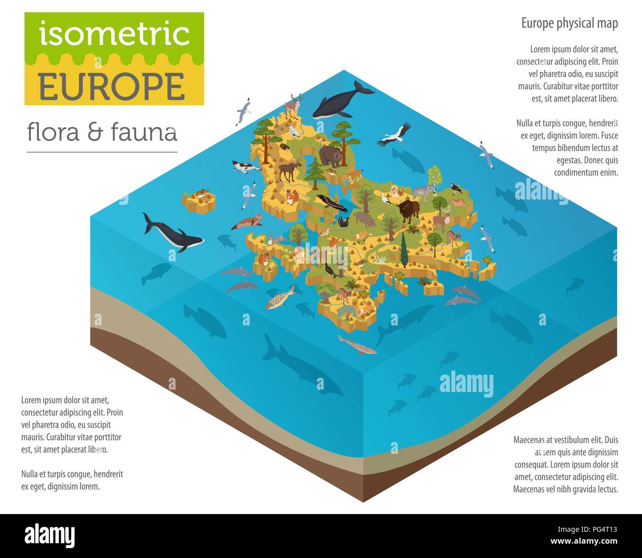 Isometrica, 3d unione flora e fauna mappa elementi costruttore. Animali, uccelli e Sea life isolato su bianco grande set. Costruire la propria geografia infogr Illustrazione Vettoriale