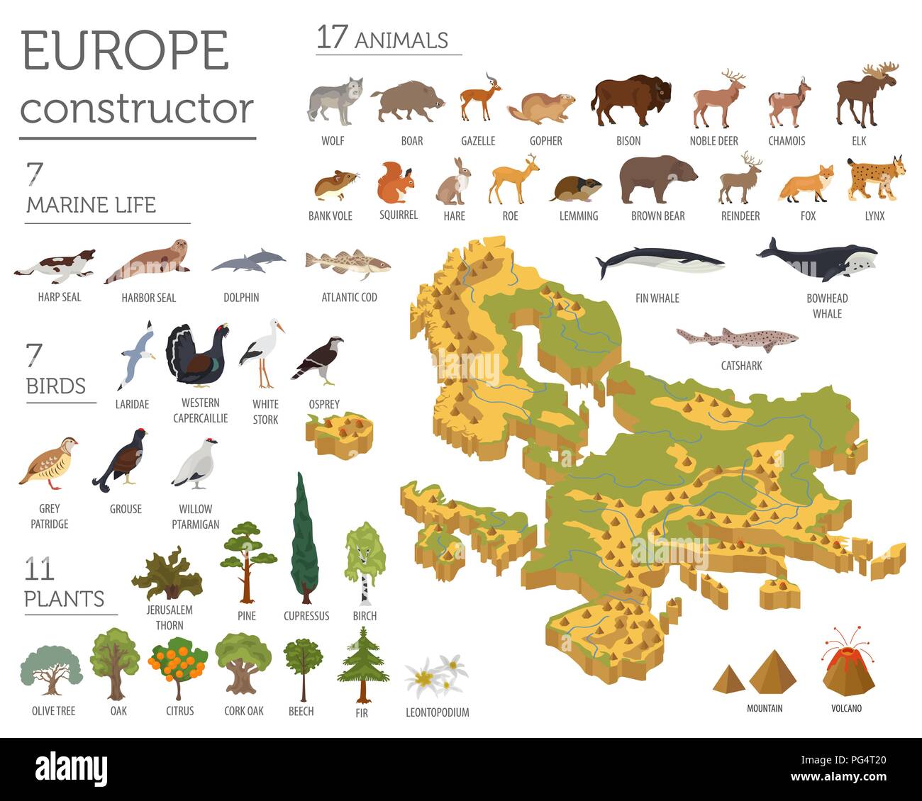 Isometrica, 3d unione flora e fauna mappa elementi costruttore. Animali, uccelli e Sea life isolato su bianco grande set. Costruire la propria geografia infogr Illustrazione Vettoriale