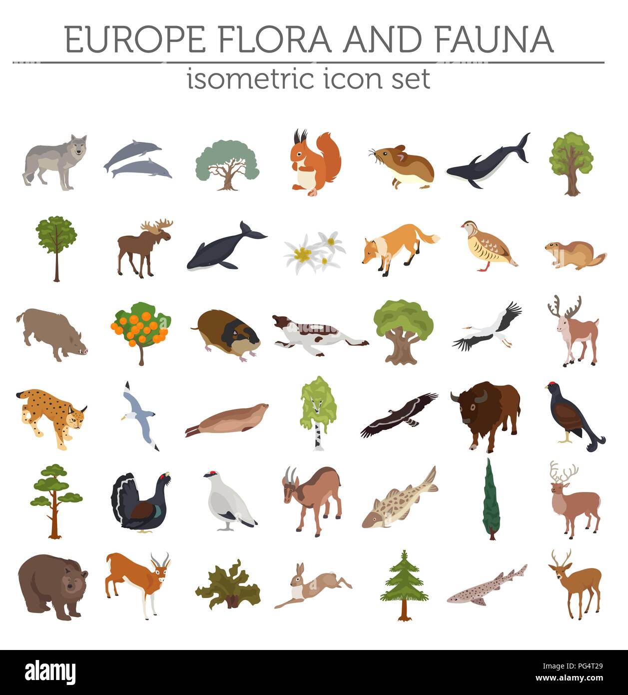 Isometrica, 3d unione flora e fauna mappa elementi costruttore. Animali, uccelli e Sea life isolato su bianco grande set. Costruire la propria geografia infogr Illustrazione Vettoriale