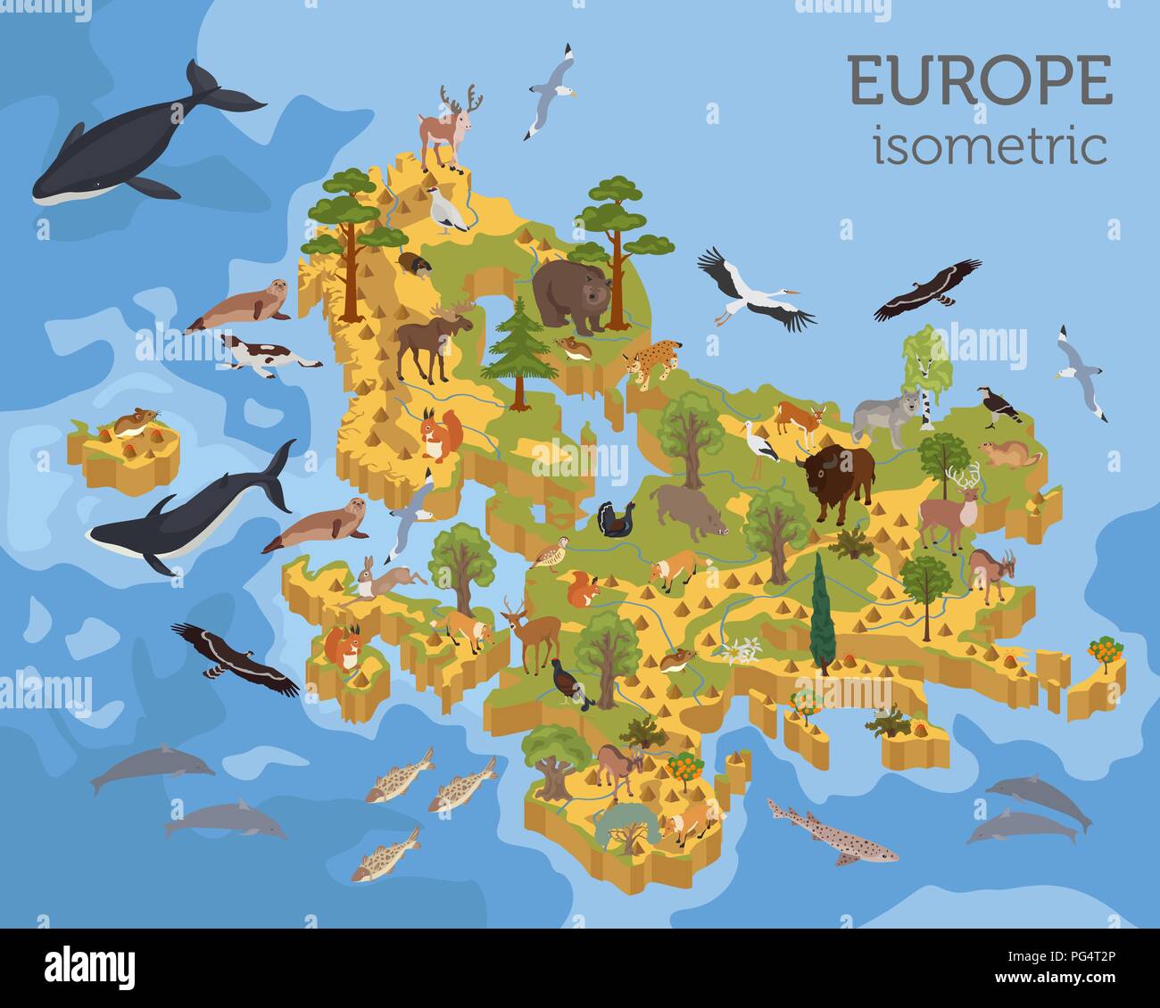 Isometrica, 3d unione flora e fauna mappa elementi costruttore. Animali, uccelli e Sea life isolato su bianco grande set. Costruire la propria geografia infogr Illustrazione Vettoriale