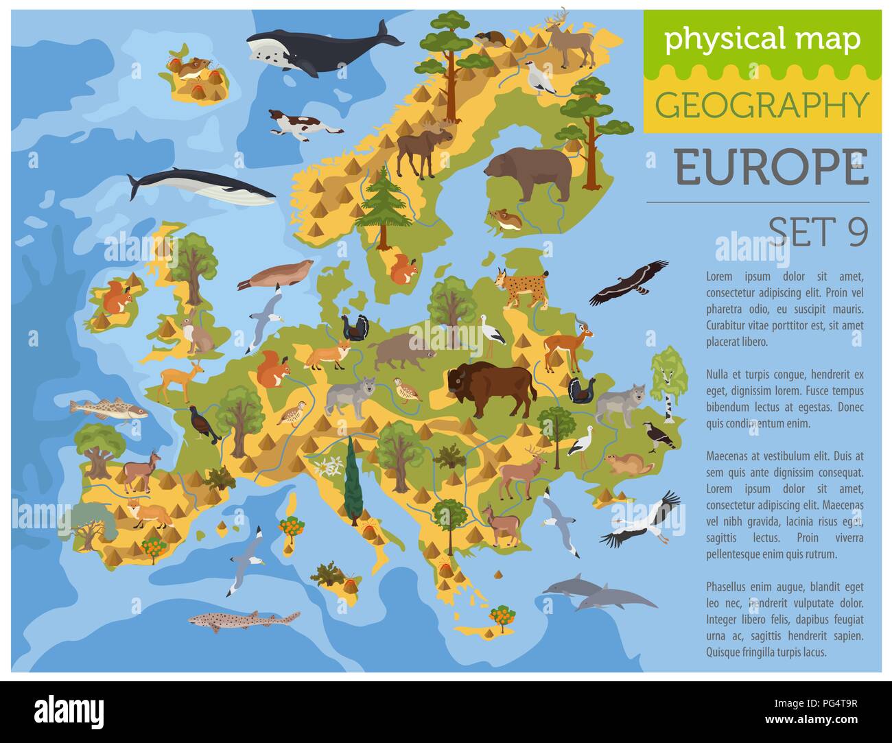 Europeo piatto flora e fauna mappa elementi costruttore. Animali, uccelli e Sea life isolato su bianco grande set. Costruire la propria geografia infographics c Illustrazione Vettoriale