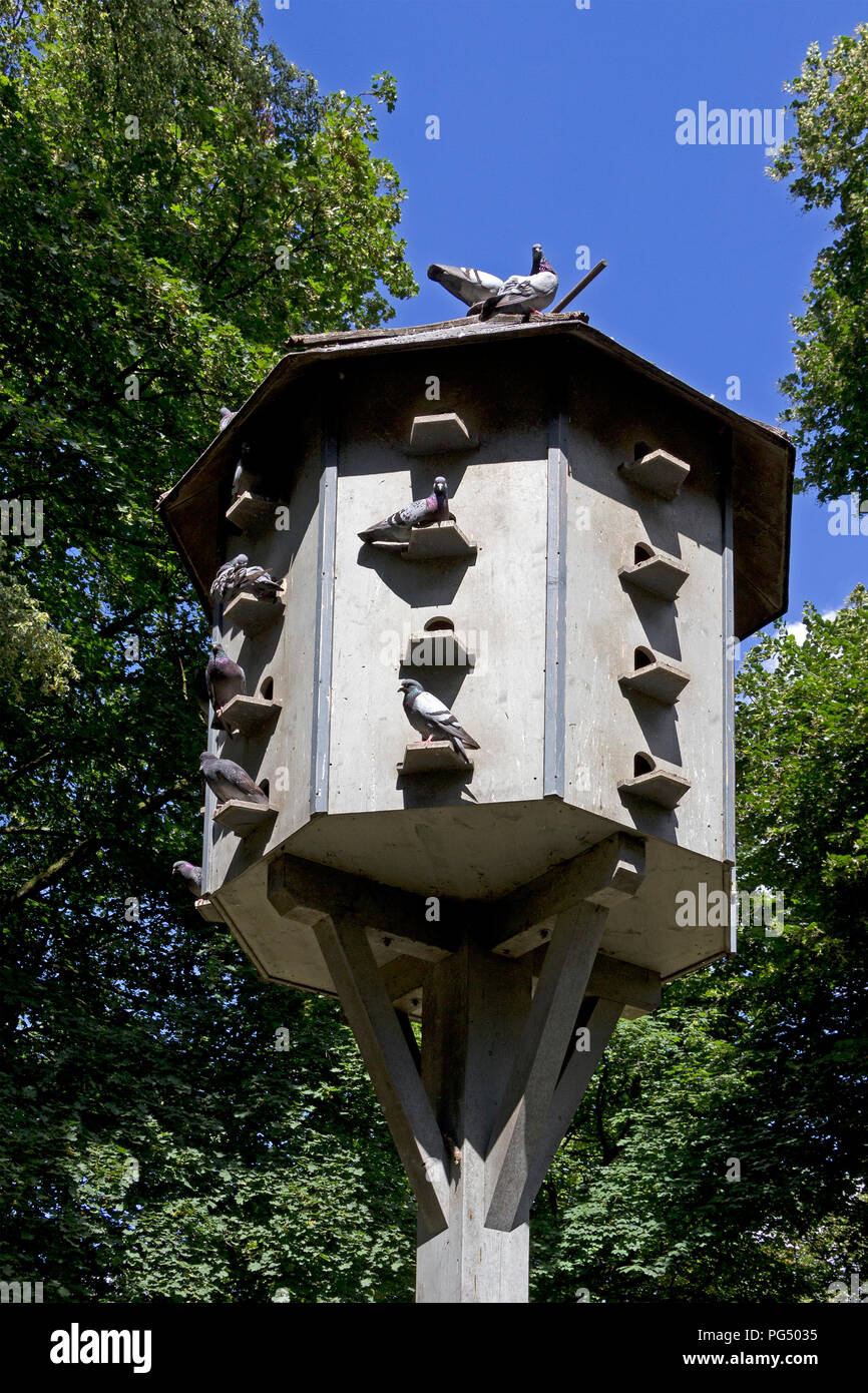 Colombaia nella città vecchia, Ravensburg, Baden-Wuerttemberg, Germania Foto Stock