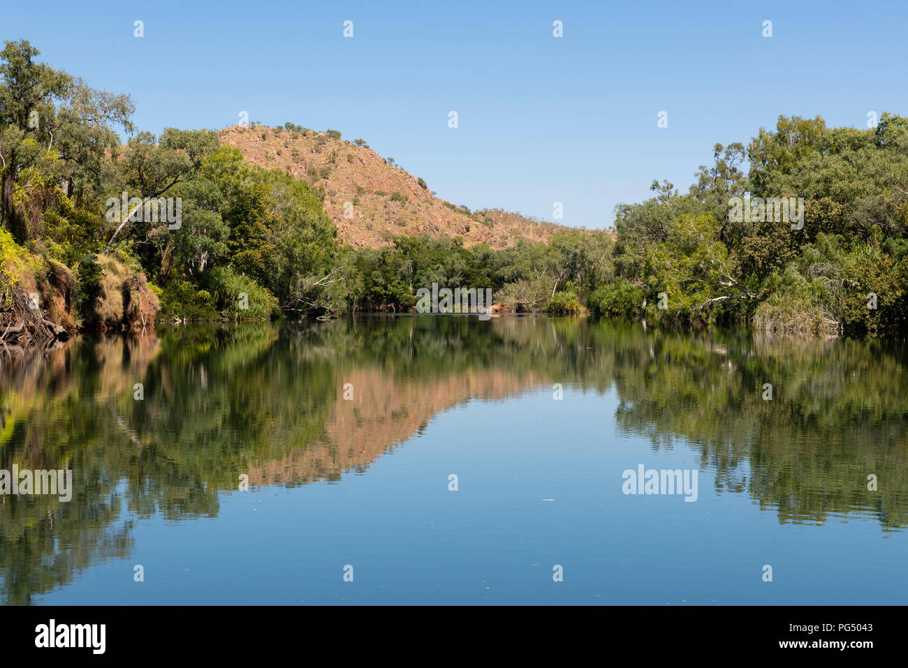 Australia, Western Australia Kimberley costa, tra Wyndham e Kununurra, Ord River. Riverbank riflessioni di habitat delle paludi lungo il fiume Ord. Foto Stock
