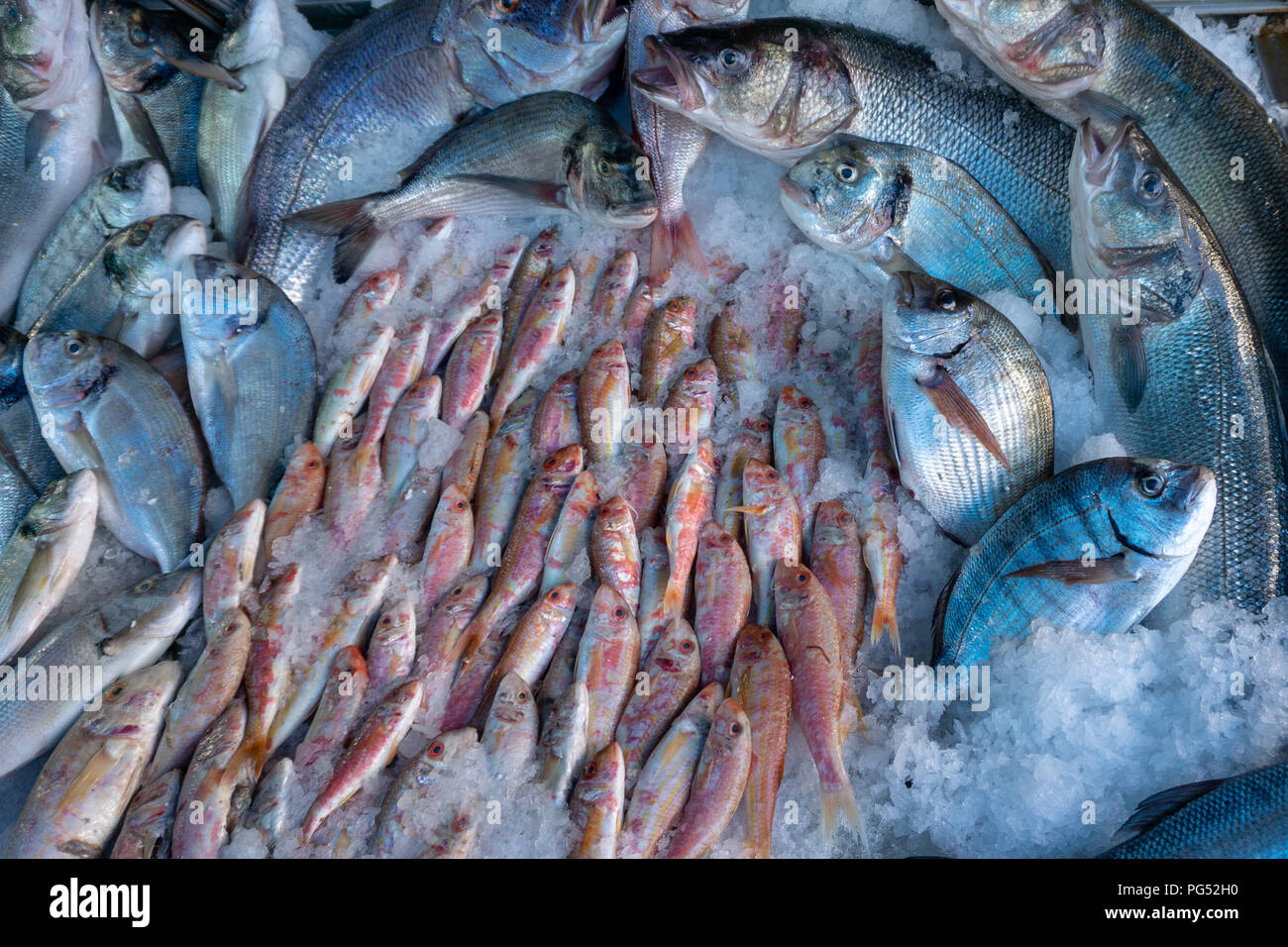 Pesce fresco sul mercato stallo che si trova nel villaggio mediterraneo della Turchia. Foto Stock
