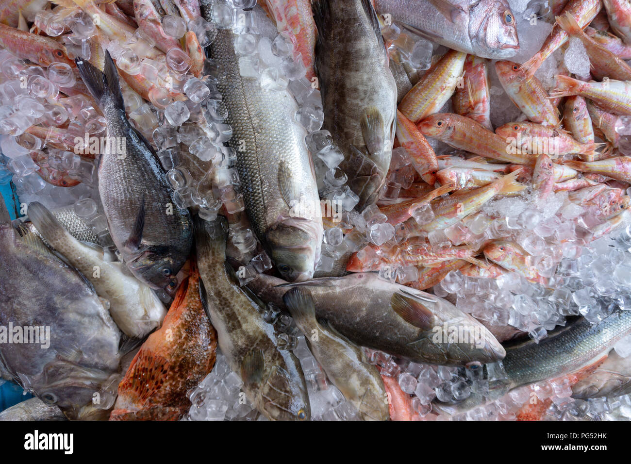 Pesce fresco sul mercato stallo che si trova nel villaggio mediterraneo della Turchia. Foto Stock