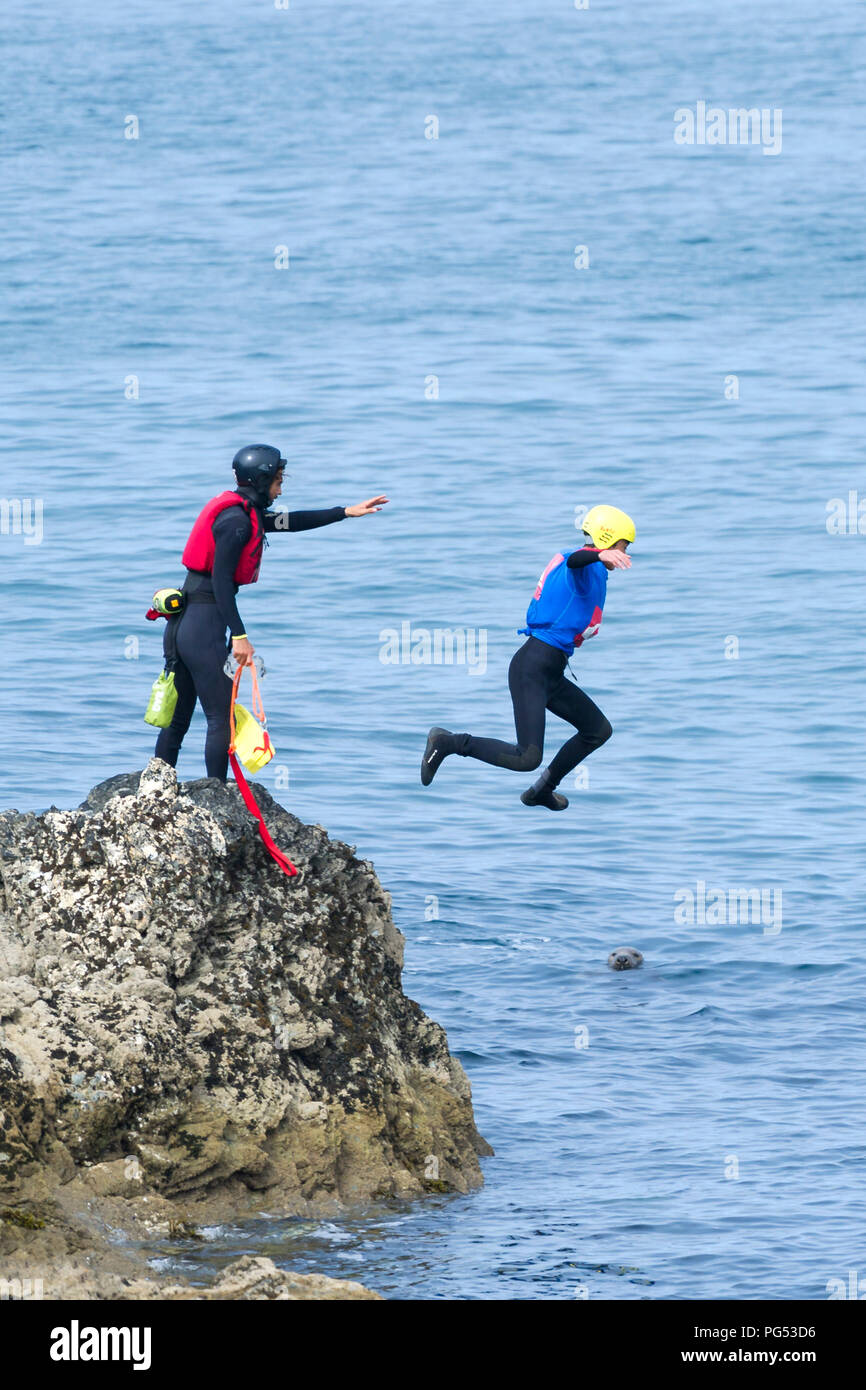 Una guarnizione grigio a guardare i turisti coasteering sul promontorio in Newquay, Cornwall. Foto Stock