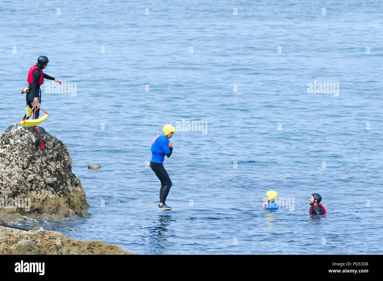 Una guarnizione grigio a guardare i turisti coasteering sul promontorio in Newquay, Cornwall. Foto Stock