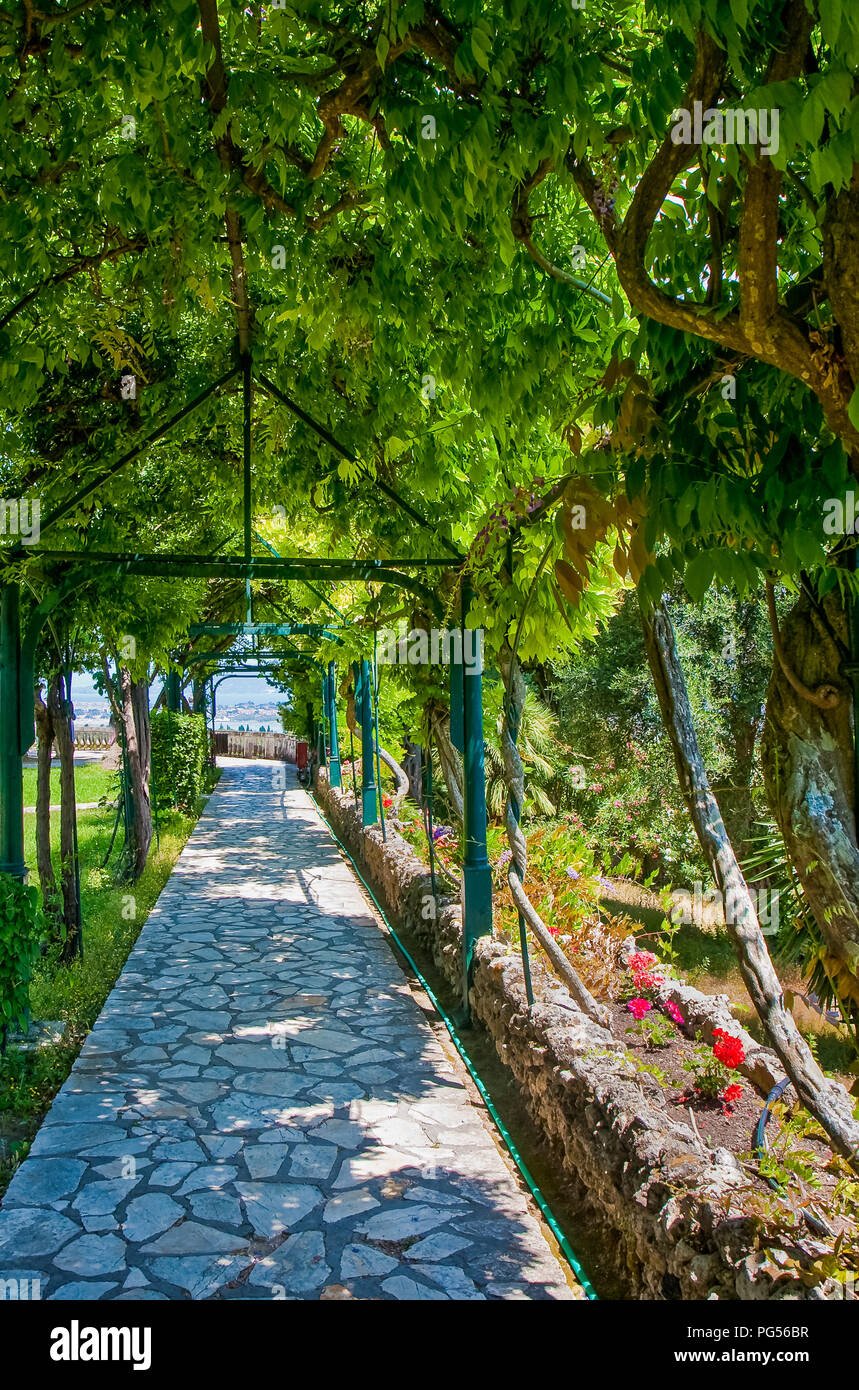 Una pietra percorso a piedi sotto un'uva verde arbor Foto Stock