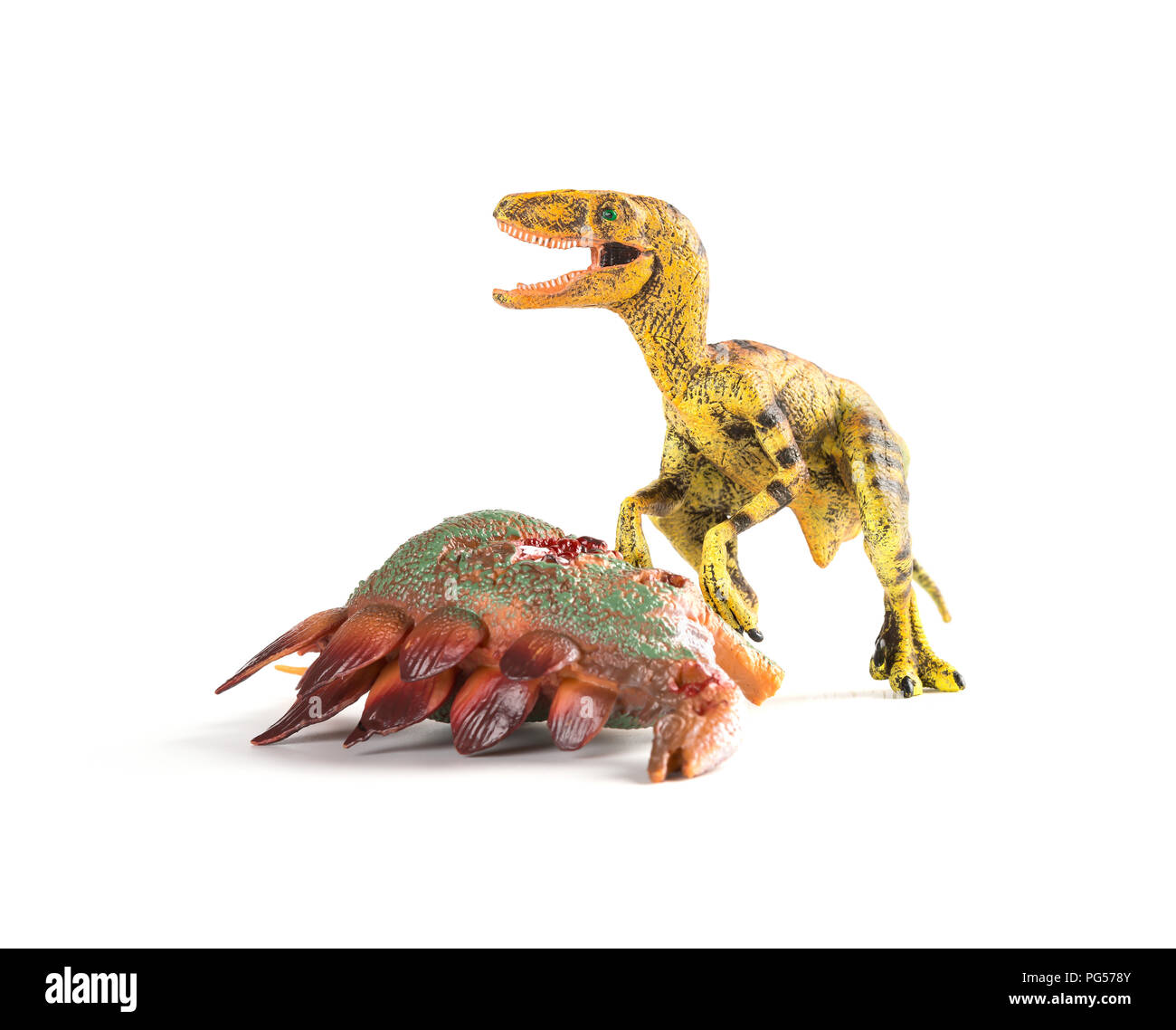 Velociraptor con un corpo stegosaurus nelle vicinanze su sfondo bianco Foto Stock