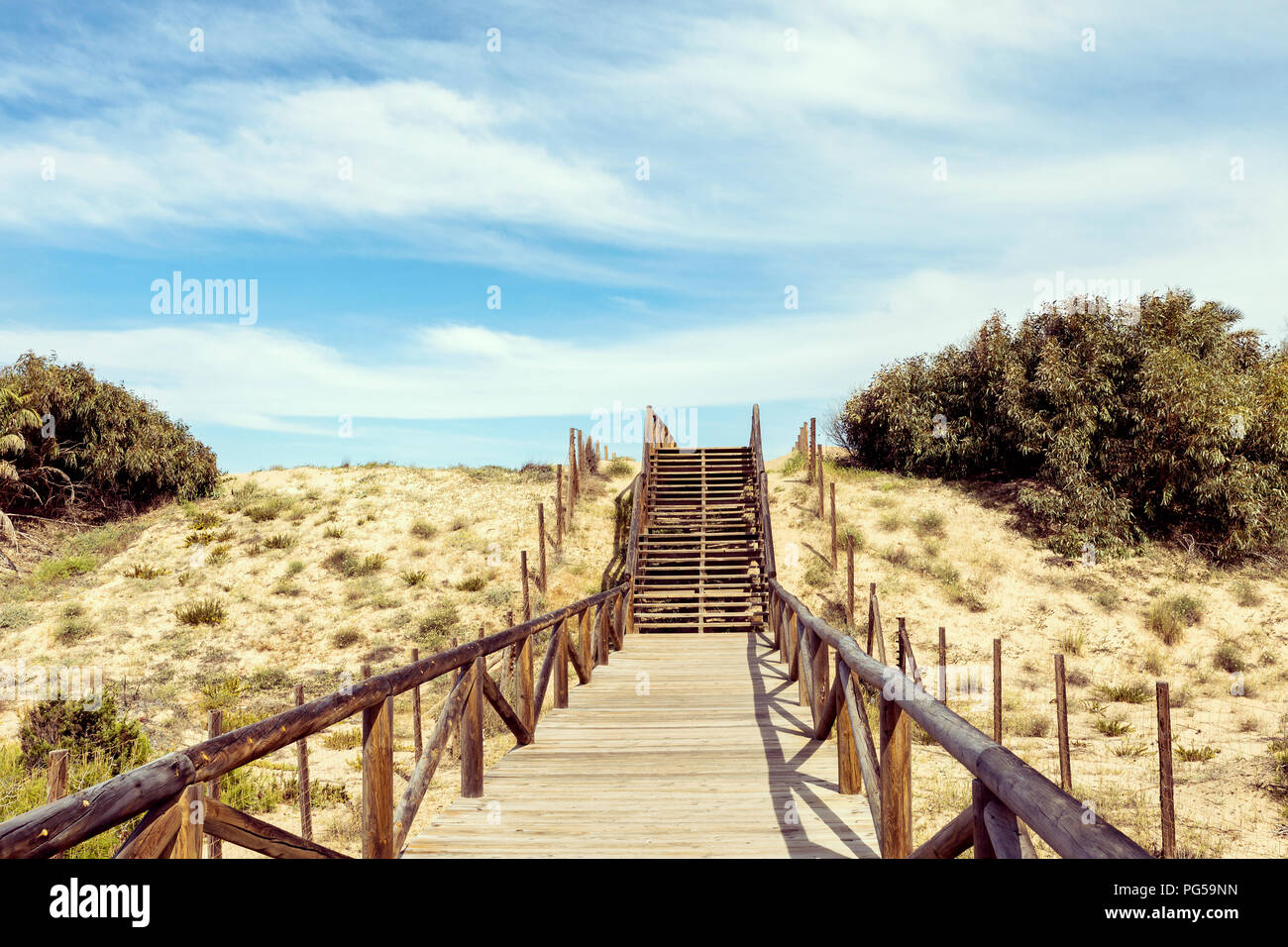 Percorso di legno e i passi per accedere alla spiaggia sulle dune di sabbia in Guardamar del Segura, Alicante. Spagna Foto Stock