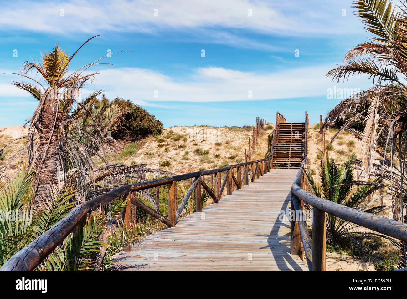 Percorso di legno e scale sulle dune di sabbia e palme per accesso alla spiaggia Foto Stock