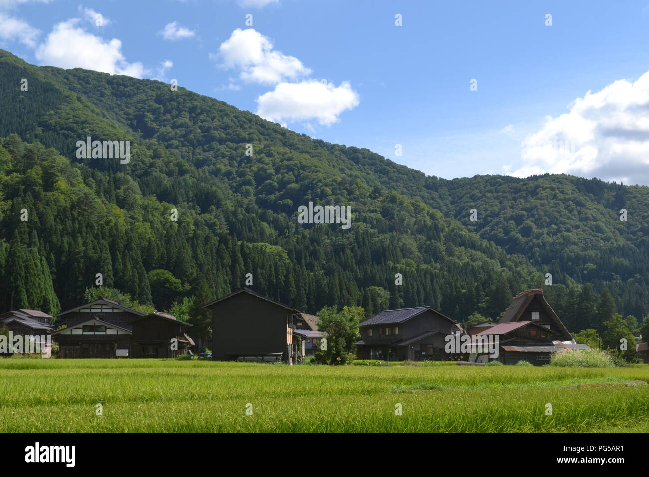 Gessho stile home in Shirakawago, Giappone Foto Stock