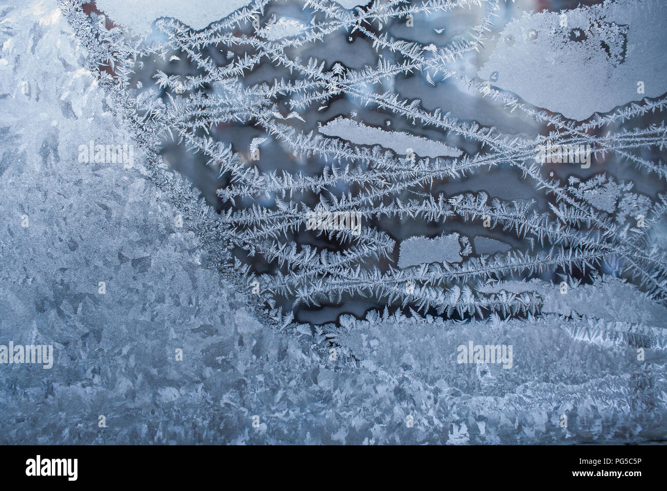 Bianco bizzarro frosty motivi sulla finestra d'inverno. Foto Stock
