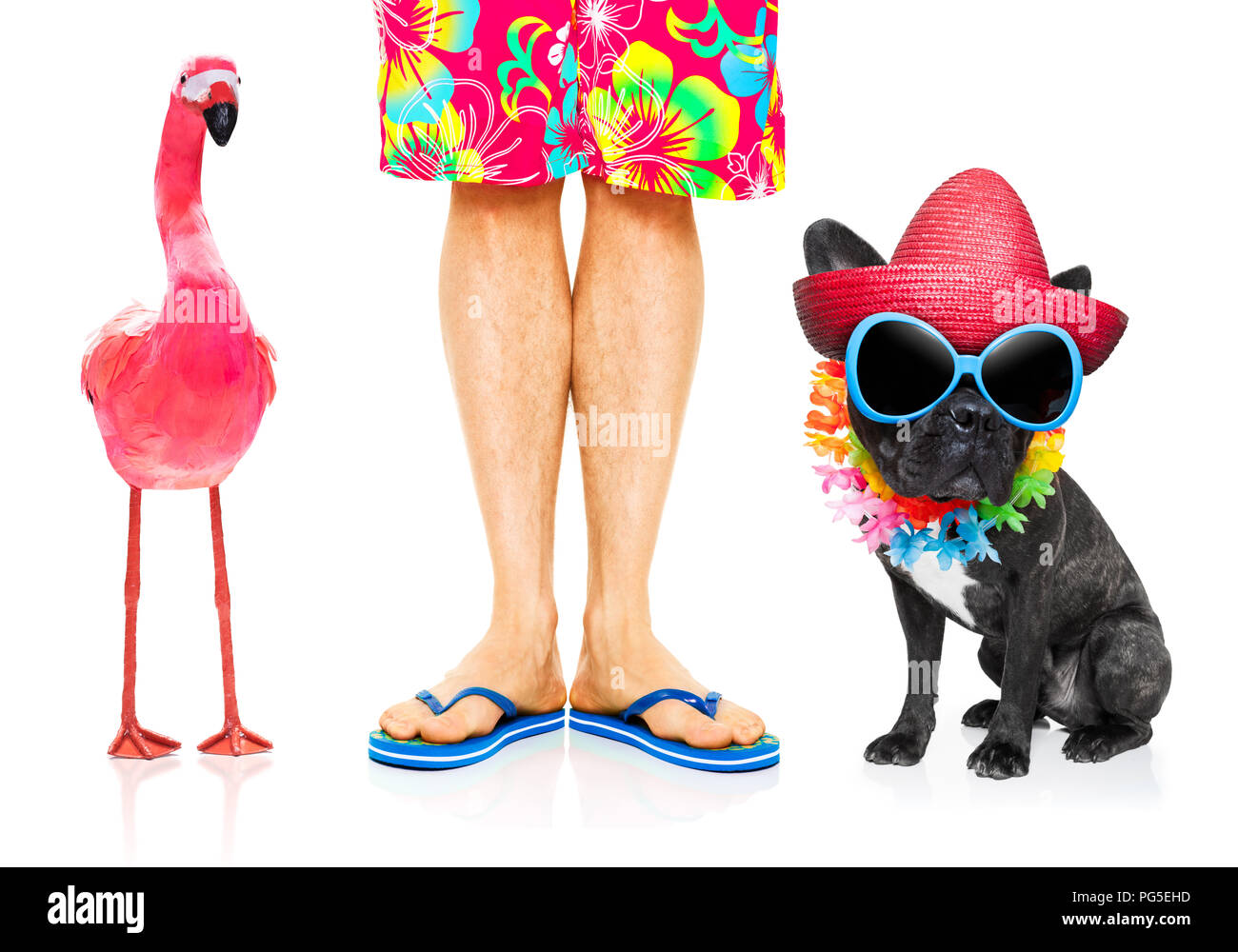 Cane e proprietario pronto per andare in vacanza e vacanze a gay fenicottero rosa , isolato su bianco Foto Stock