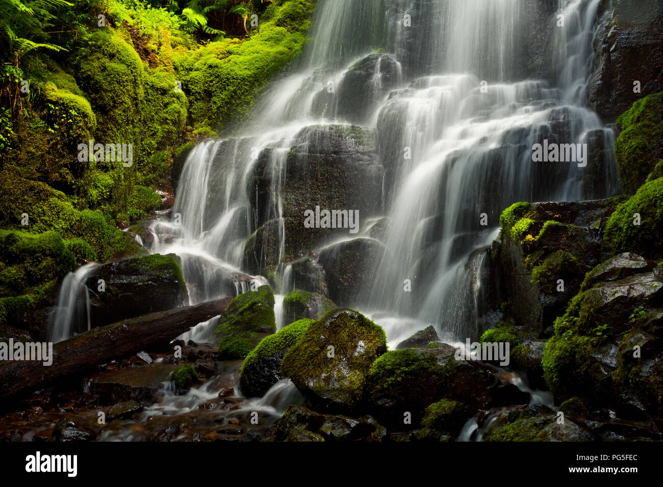 Fata cade closeup lungo Columbia Gorge in Oregon Foto Stock