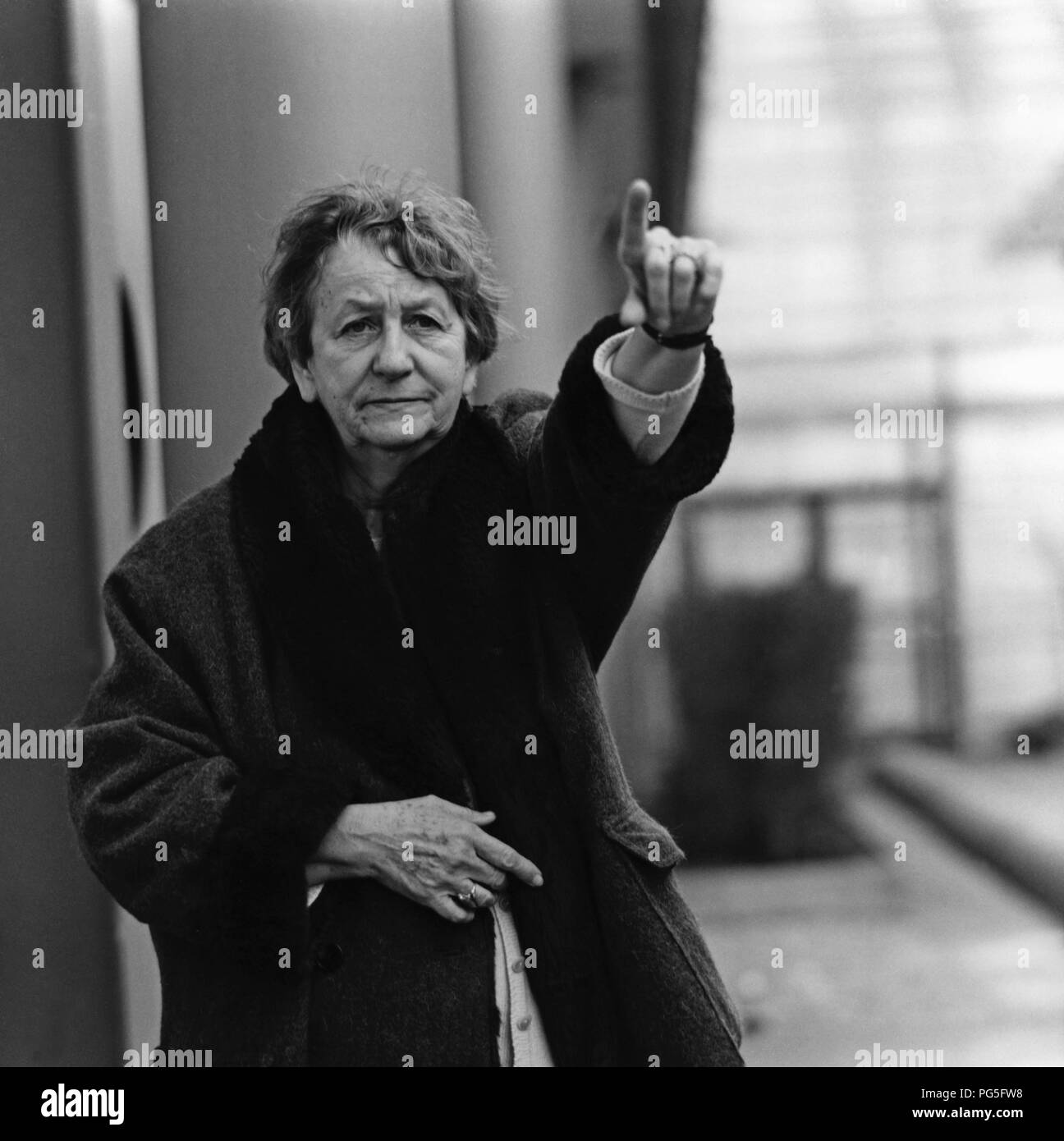 Scrittore tedesco Ingrid Noll. Foto Stock