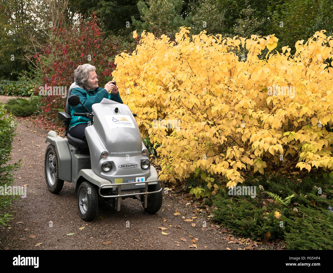 Un pensionato disabili utilizzando una batteria-powered Tramper per permetterle di godere di un giardino pubblico durante il tranquillo periodo autunnale NEL REGNO UNITO Foto Stock