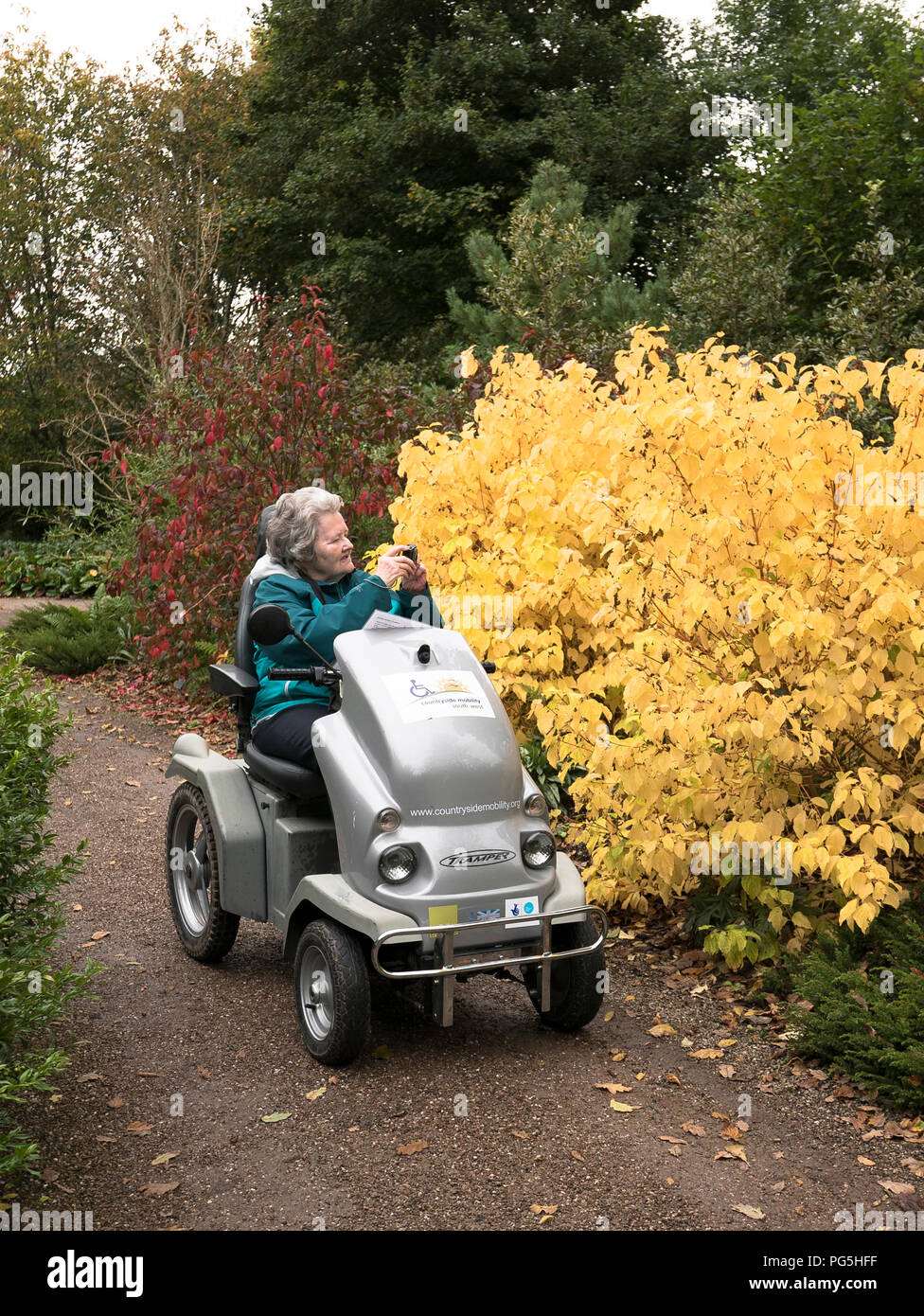 Un pensionato disabili utilizzando una batteria-powered Tramper per permetterle di godere di un giardino pubblico durante il tranquillo periodo autunnale NEL REGNO UNITO Foto Stock